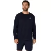 ASICS SILBERNES LANGARM-OBERTEIL