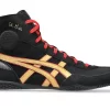 DAN GABLE EVO 3