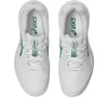 GEL-RESOLUTION X GRADE SCHOOL GEL-RESOLUTION X GRADE SCHOOL
