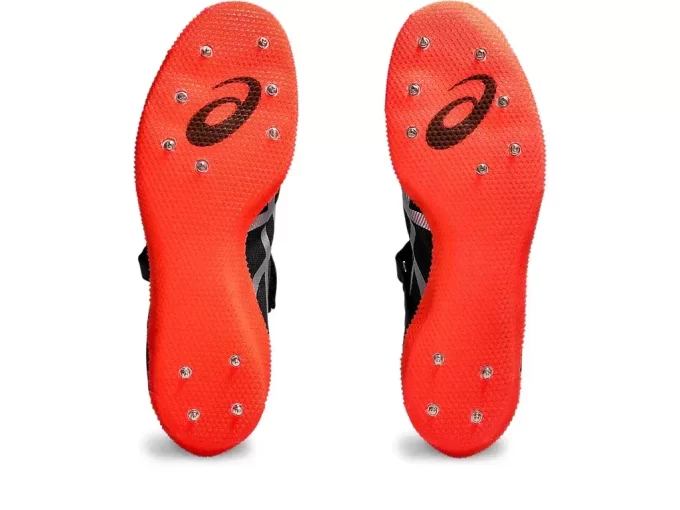 HOCHSPRUNG PRO 3 (L)