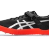 HOCHSPRUNG PRO 3 (R) HOCHSPRUNG PRO 3 (R)