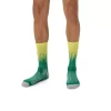 PERFORMANCE RUN SOCK CREW PERFORMANCE RUN SOCK CREW